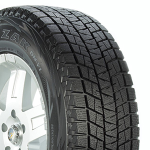 Bridgestone Blizzak DM-V1